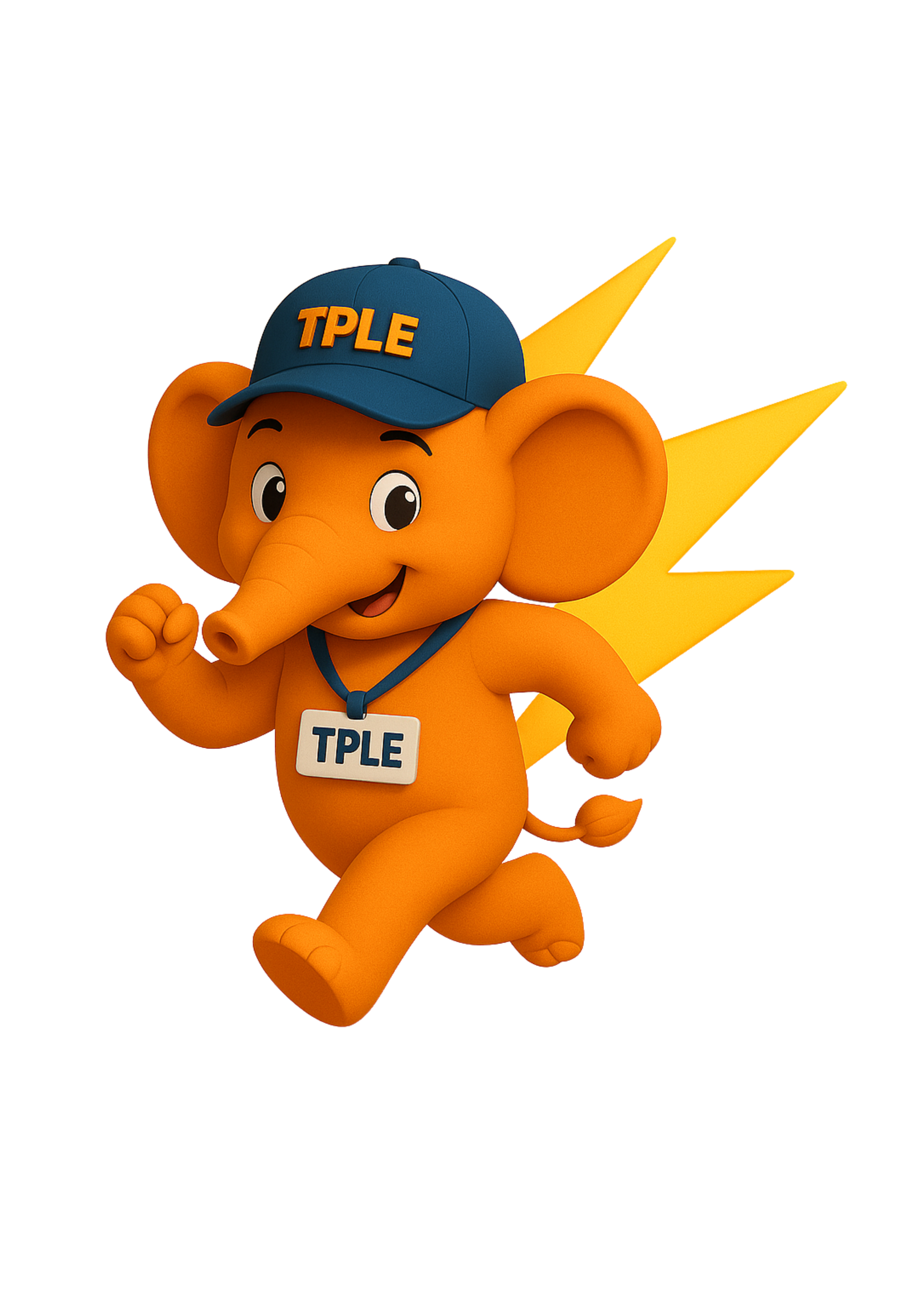 TPLE • Les spécialistes du transport express en France et en Europe