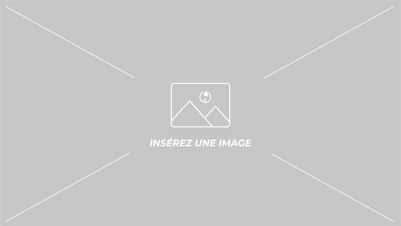 Transport urgent en Europe 🇪🇺